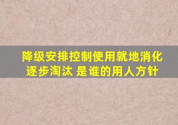 降级安排控制使用就地消化逐步淘汰 是谁的用人方针